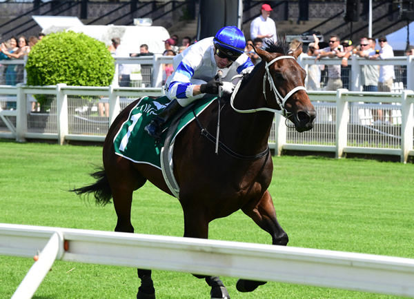 Impressive three-year-old Kovalica is in complete control at Eagle Farm Photo Credit: Grant Peters Photography