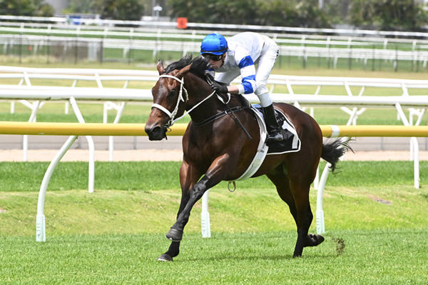 Kovalica (NZ) has won three on the trot - image Grant Peters/ Trackside Photography 