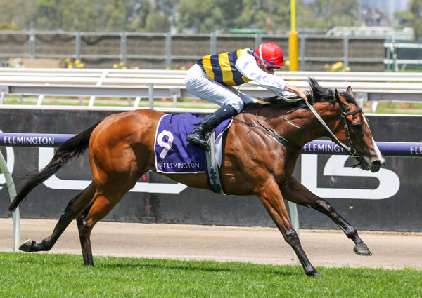 Krementz brought up her second consecutive win when successful at Flemington on Monday. Photo: Bruno Cannatelli