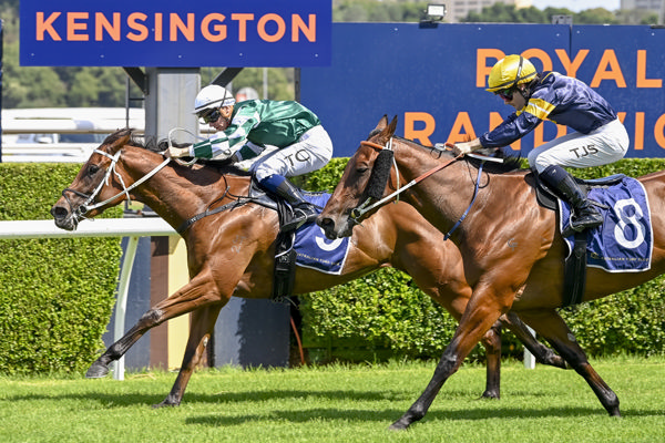 La Basilque breaks the ice on Friday - image Bradley Photos