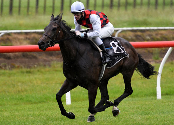 Promising filly La Crique bolts home at Tauranga Photo Credit: Race Images – Kenton Wright