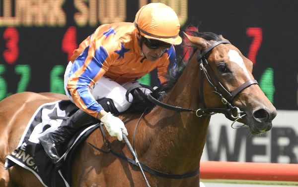 La Dorada is on track for Karaka Million.