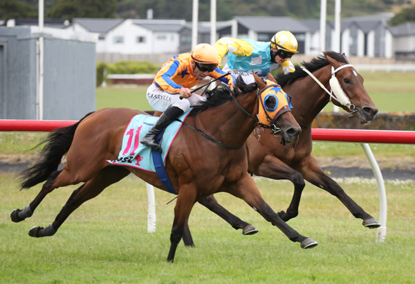 La Dorada winning the Gr.2 Levin Track Supporters Levin Classic (1400m) at Trentham on Saturday.  Photo: Peter Rubery (Race Images)
