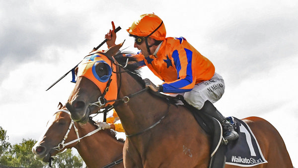 La Dorada winning the Gr.2 J Swap Contractors Ltd Matamata Breeders’ Stakes (1200m) on Saturday.  Photo: Kenton Wright (Race Images)