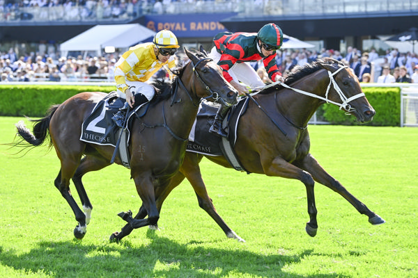 Lady Shenandoah and Lady of Camelot fight out the G1 Surround last year - image Bradley Photos