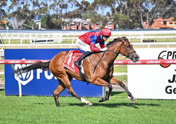 Lady Verity wins in a canter at Geelong - image Reg Ryan / Racing Photos