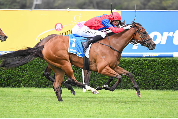 Lady Verity wins at Sandown - image Pat Scala / Racing Photos