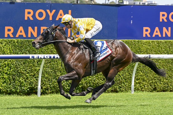 Keeping Up The Family Tradition - Lancelot Du Lac Is The Fourth Winner For His Dam - Image Bradley Photos