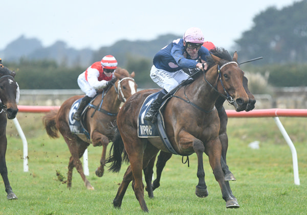 Landman's winning debut at Woodville provided a first training success for Sam O'Malley. Photo: Peter Rubery (Race Images Palmerston North)