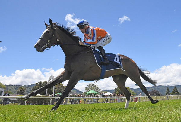 Lara Antipova winning the Gr.2 Windsor Park Stud Wakefield Challenge Stakes (1100m) at Trentham on Saturday.  Photo: Peter Rubery (Race Images Palmerston North)