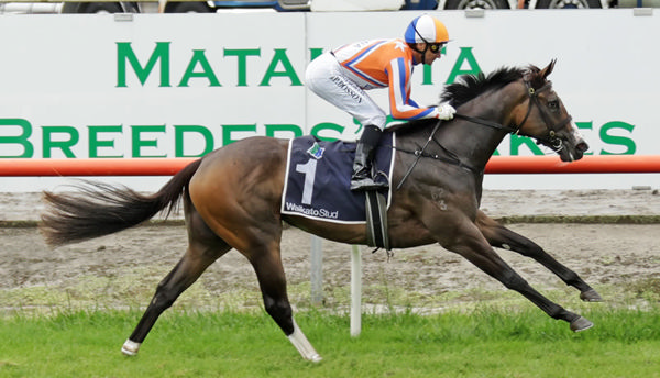 Lara Antipova winning the Gr.2 J Swap Contractors Ltd Matamata Breeders’ Stakes (1200m). Photo: Kenton Wright (Race Images)