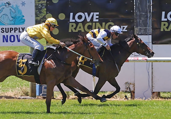 Lassified wins on debut as favoruite  - Photo: Jane Davidson (Race Images)