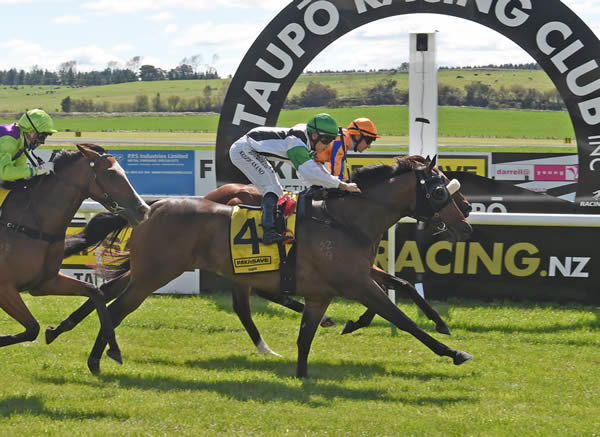 Lauding (outside) winning at Taupo on Wednesday. Photo: Peter Rubery (Race Images Palmerston North)