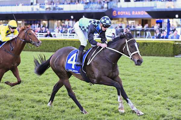 Snitzel Mare Lazzura Adds The G3 Show County Quality To Her Impressive Record - Image Bradley Photos