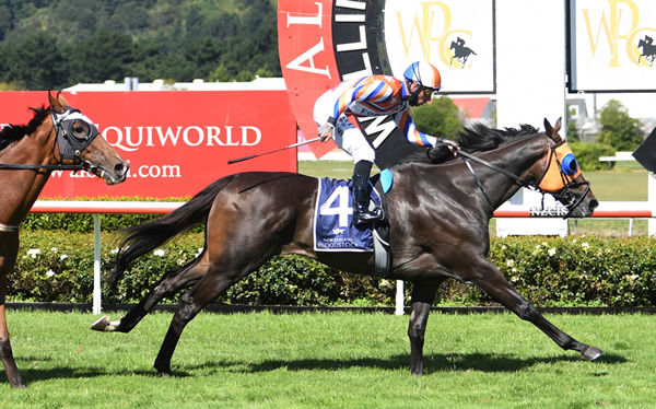 Leaderboard takes out the Listed Barneswood Farm New Zealand St Leger (2600m) at Trentham Photo Credit: Race Images – Grant Matthew