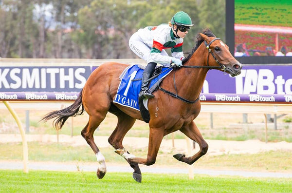Leading Taddy is the first winner for young Snitzel stallion Ducimus - (Photo / Western Racepix) 