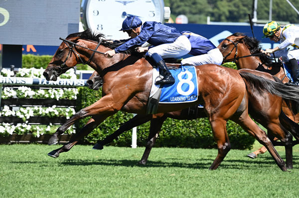 Learning to Fly was a standout juvenile filly last season tracing back to Getting There - image Steve Hart 