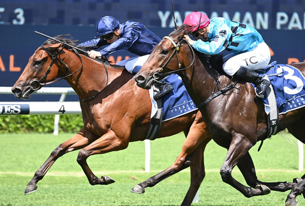 Learning to Fly edges out Facile to win the G2 Resiling - image Steve Hart