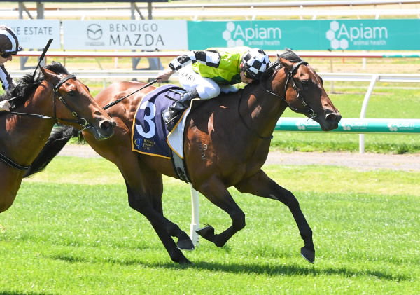 Leave No Doubt is the first winner for Doubtland - image Racing Photos.