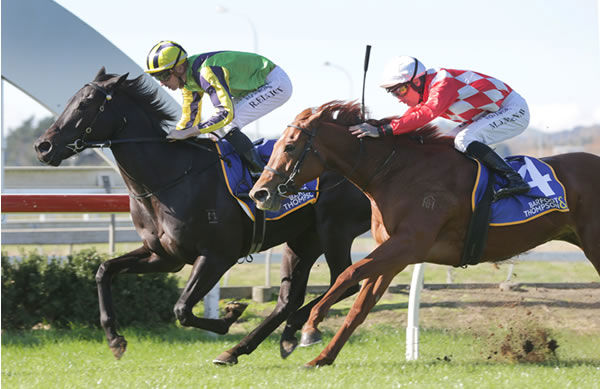 Leedox downs Contagious to win the Listed Barfoot & Thompson Auckland Futurity Stakes (1400m). Photo: Trish Dunell
