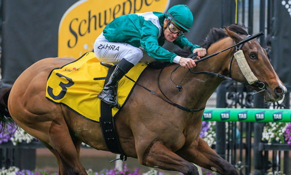 Legacy Bound wins the Listed Poseidon stakes - image Grant Courtney
