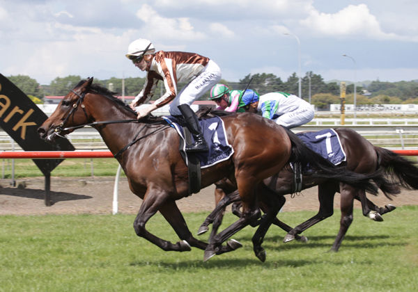 Legarto completes an amazing victory in the Gr.2 ATR Eight Carat Classic (1600m) Photo Credit: Kristin Ledington