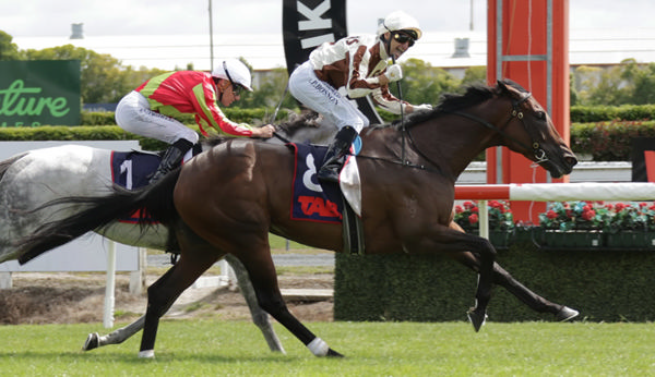Opie Bosson celebrates after recording his 100th Group One win aboard Legarto in the Gr.1 Herbie Dyke Stakes (1400m) at Te Rapa on Saturday.  Photo: Kenton Wright (Race Images)