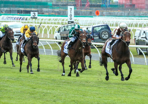 Legarto winning the Gr.1 New Zealand 1000 Guineas (1600m) at Riccarton on Monday. Photo: Race Images South