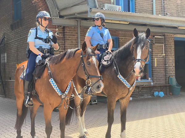 Lenny went into the NSW Mounted Police Unit in March 2020.