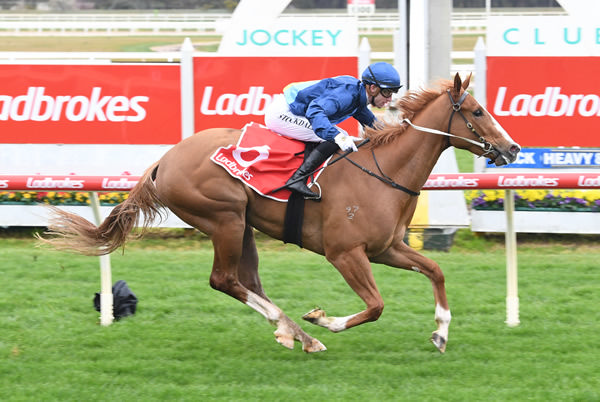 Leongatha salutes over 1100m - image Brett Holburt / Racing Photos