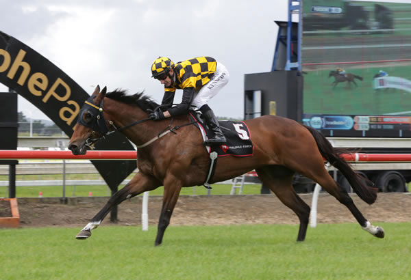 Letzbeglam has the situation well in hand as she crosses the line to win the Gr.3 Haunui Farm Counties Bowl (1100m) Photo: Trish Dunell