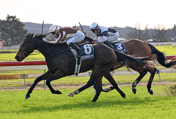 Levakia winning the ITM/GIB 3YO Winter Championship Final (1600m) at Ruakaka on Saturday. Photo: Therese Davis