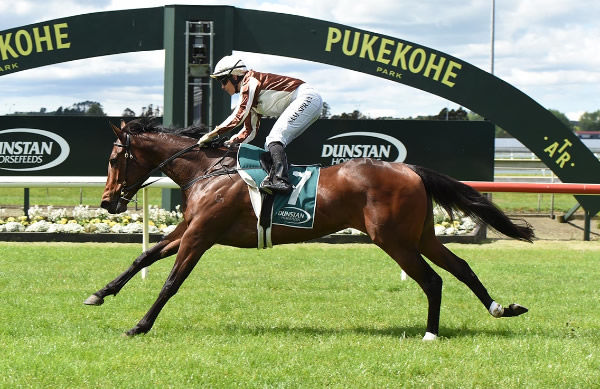 Levakia winning at Pukekohe Park on Wednesday.  Photo: Megan Liefting (Race Images)