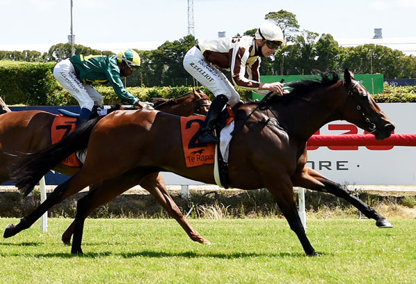 Levante cruises to victory in the Listed Haunui Farm Counties Bowl (1100m) at Te Rapa Photo Credit: Race Images – Kenton Wright