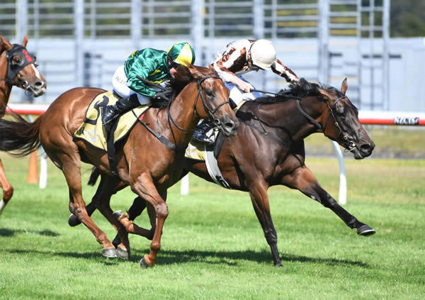 Levante (inner) gets in the deciding stride to defeat Roch ‘N’ Horse in the Gr.1 JR & N Berkett Telegraph (1200m) at Trentham Photo Credit: Race Images – Peter Rubery
