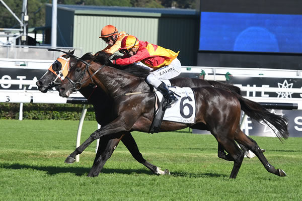 Pierro stallion Levendi wins the Australian Derby.