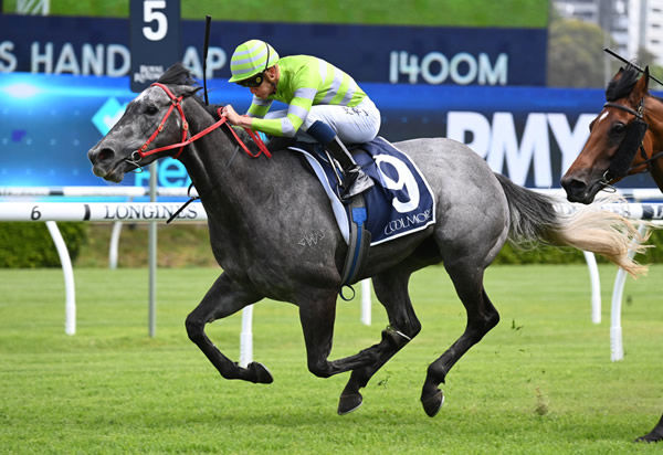 Lekvarte in full flight at Randwick - image Steve Hart