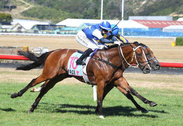 Lhasa and Tayla Mitchell winning the IRT 1200 at Trentham on Sunday.   Photo: Peter Rubery (Race Images Palmerston North)