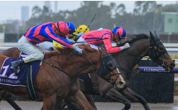 Michael Dee drives Liberami to the line to win at Flemington. Photo: Grant Courtney