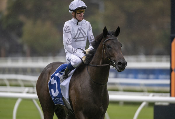 Libertad is a rising star for Trilogy Racing - image Steve Hart