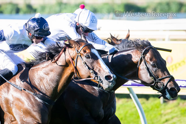 Libertad on the inside edges out Overpass - image Western Racepix