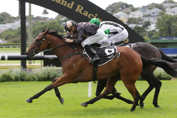 Lickety Split wins on debut at Ellerslie Photo Credit: Trish Dunell