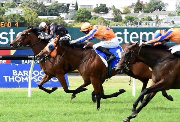 She’s Licketysplit (outside) will contest the Gr.2 Thousand Guineas Prelude (1400m) at Caulfield on Saturday. Photo: Trish Dunell
