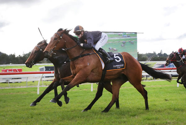 Lickety Split (outer) gets the better of Pacific Dragon to win the Gr.3 Cambridge Stud Northland Breeders Stakes (1200m) Photo credit: Trish Dunell