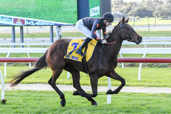 Light of Rose wins by daylight at Warrnambool - image Brett Holburt / Racing Photos