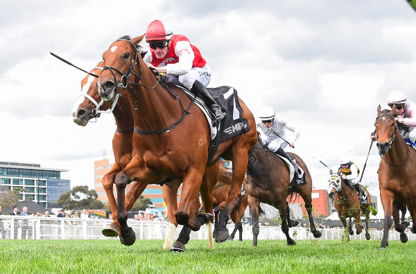 Lilac wins the Listed Jim Moloney Stakes - image Reg  Ryan / Racing Photos