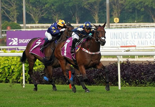 Lim's Kosciuszko takes out the Raffles Cup.