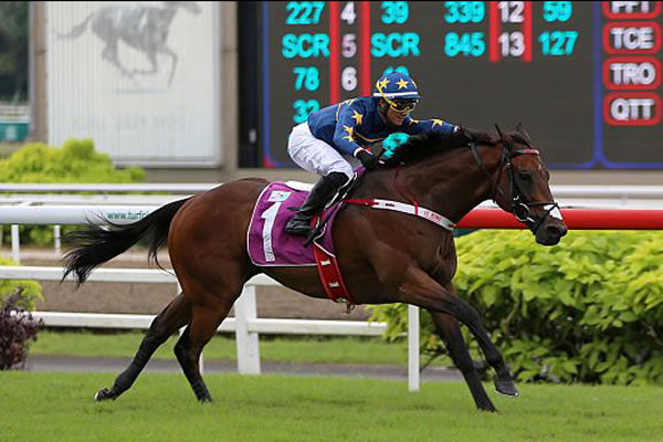 Lim’s Kosciuszko winning Saturday’s S$1 million Kranji Mile (1600m) Photo: Singapore Turf Club