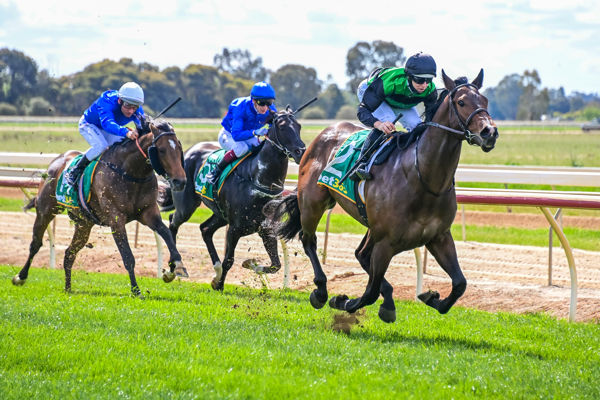 Bigger things in store for Linas Legend (image Brendan McCarthy/Racing Photos)