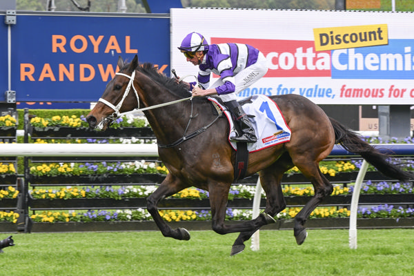 Lindermann wins the G3 Craven Plate for the second year in a row - image Bradley Photos